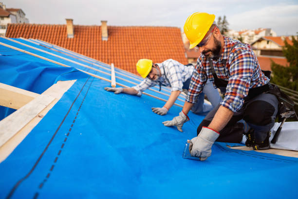 Best Storm Damage Roof Repair  in Alvarado, TX